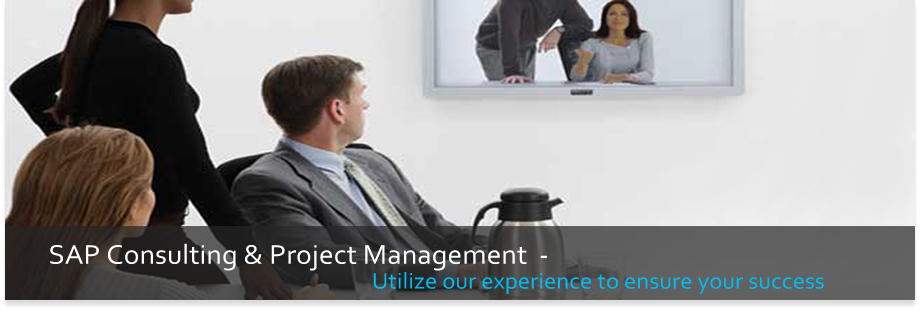 SAP BW Consulting
