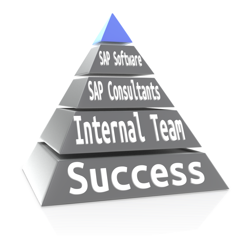 SAP Project Resource Requirements