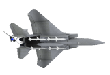 Top Gun SAP Consultant