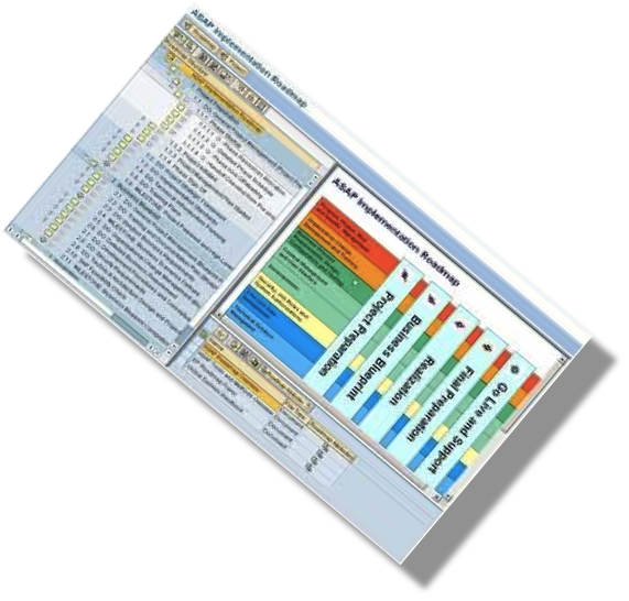 SAP Agile Project Management Tips