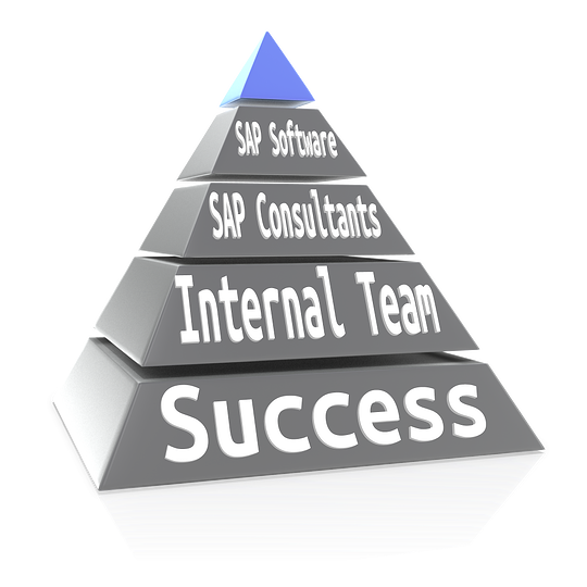SAP Project Staffing