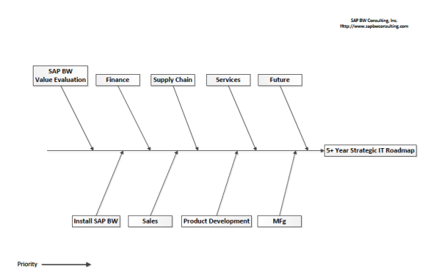 5 year IT project