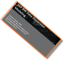 InfoCube Dimensional Modeling Guideline