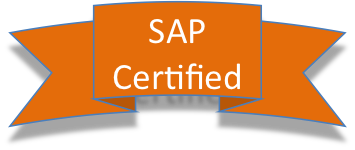 SAP Professional Services Consulting