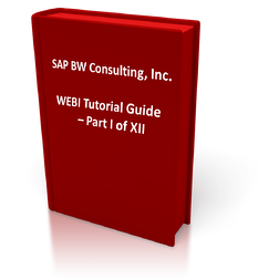 SAP BW, BO, WEBI, xCelsius, Business Objects, How To, Guide, Tutorial