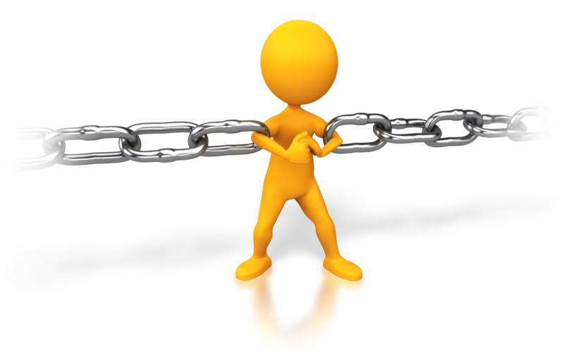 SAP Project Manager