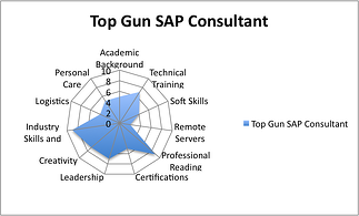 SAP Consultant Skills