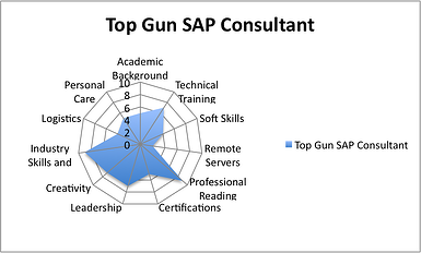 Top Gun SAP Consultant