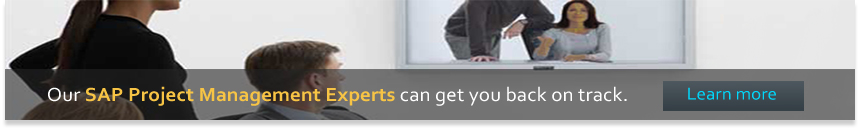 SAP BW Consulting