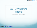 SAP BW Staffing Models Comparative Analysis