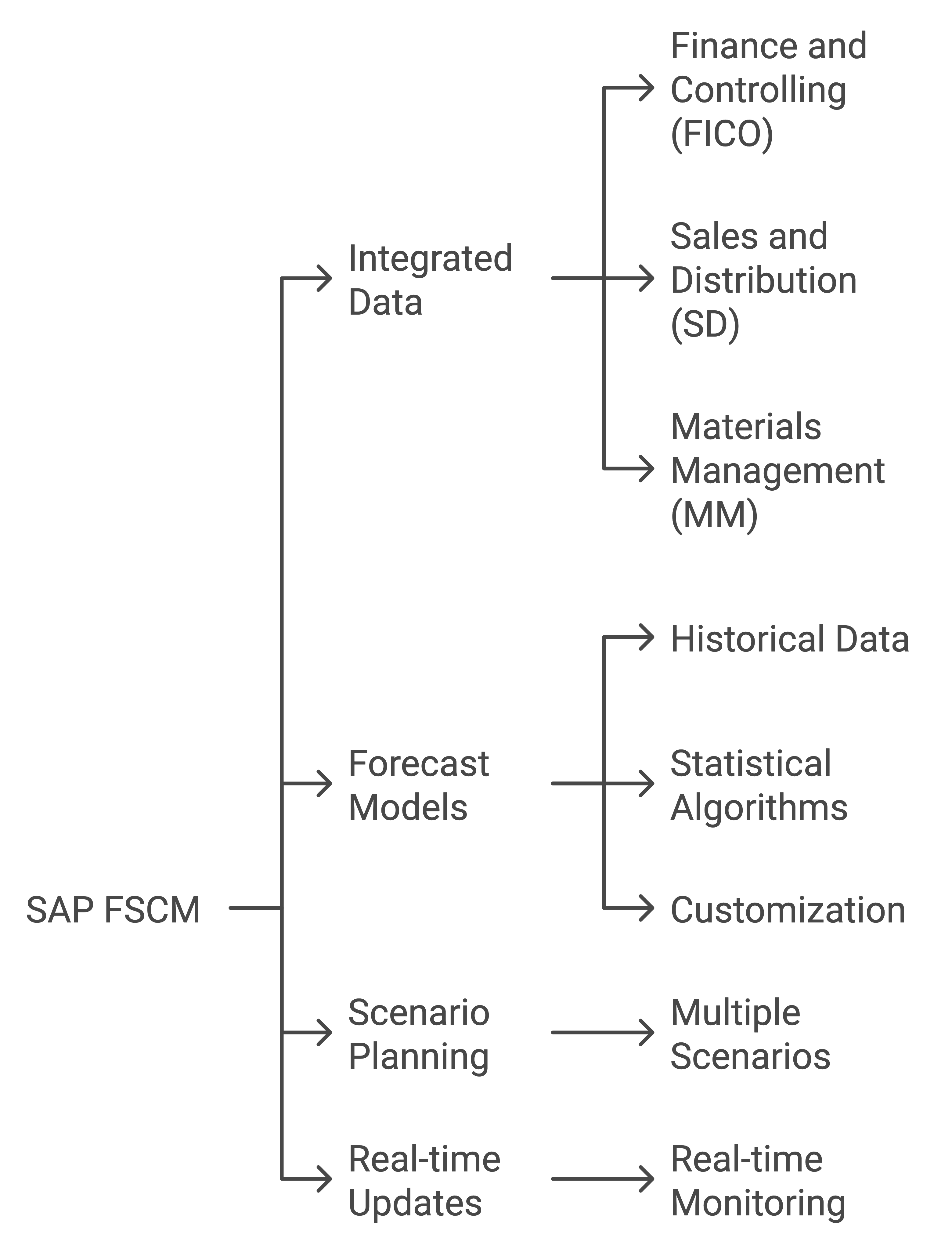 Cash Flow Forecasting