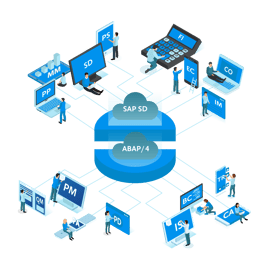 SAP ERP Expanded Diamond