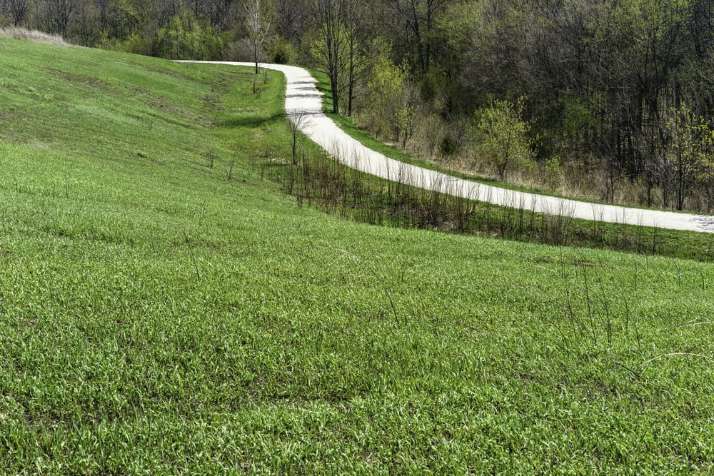 Winding Customer Journey Path