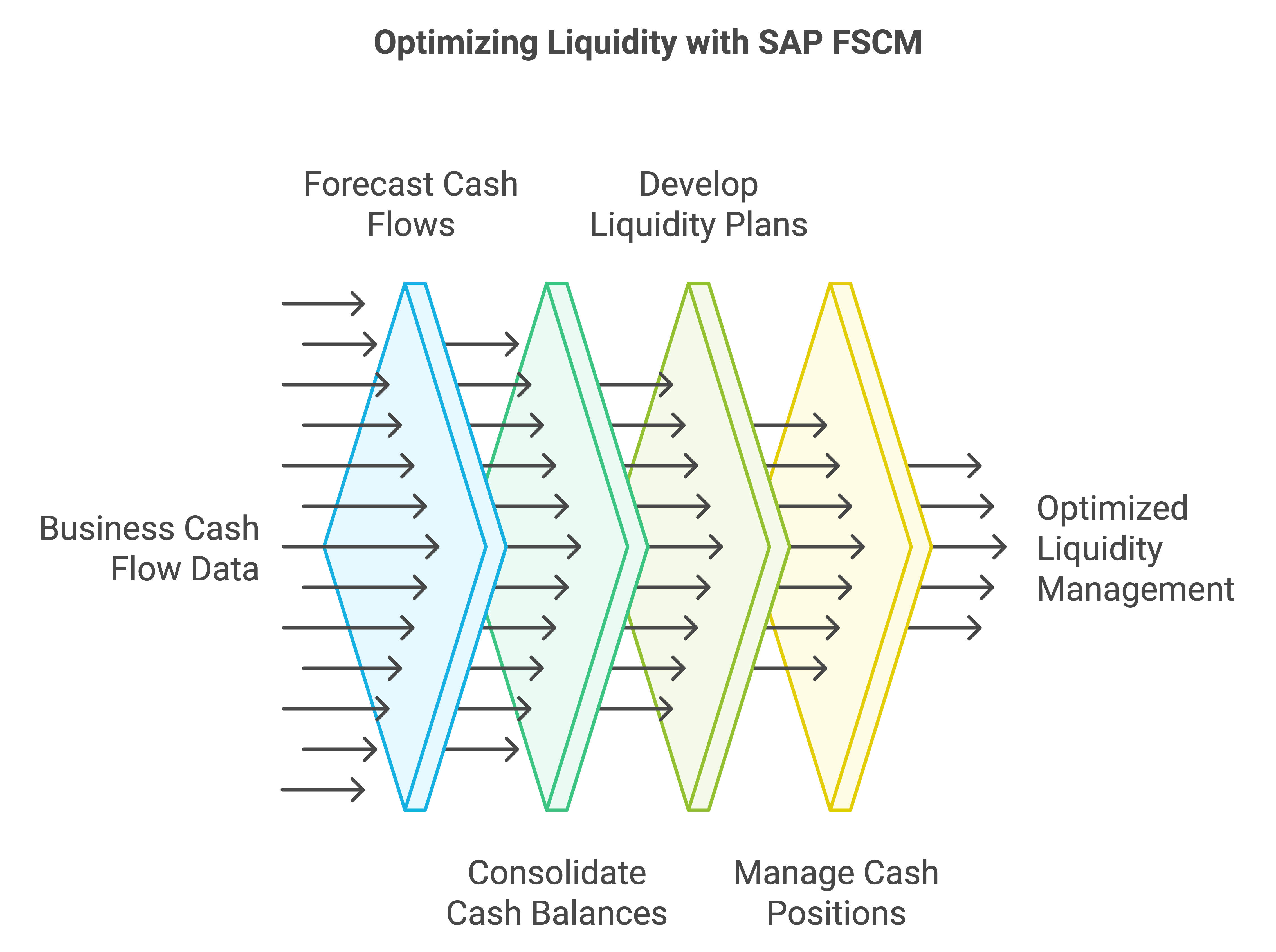 Optimized Liquidity with SAP FSCM