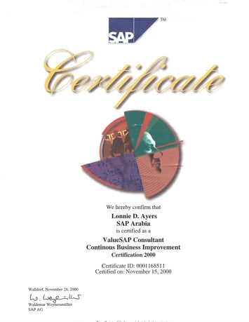 SAP ValueSAP Consultant CBI