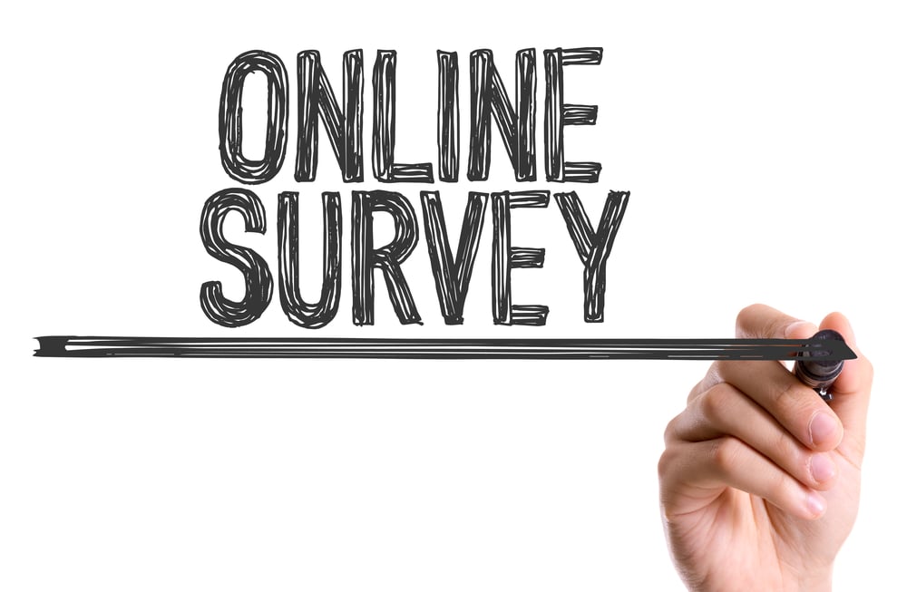 Online Survey