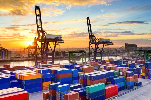 SAP Transportation Management Consulting
