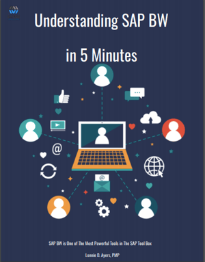 Understanding SAP BW in 5 Minutes