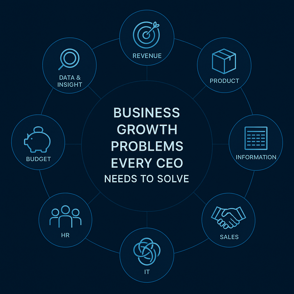 Infographic for CEOs displaying nine critical business growth problems in a circular format, each with an icon representing revenue, product, information, sales, IT, HR, budget, data & insight, and marketing challenges, using professional blue tones.