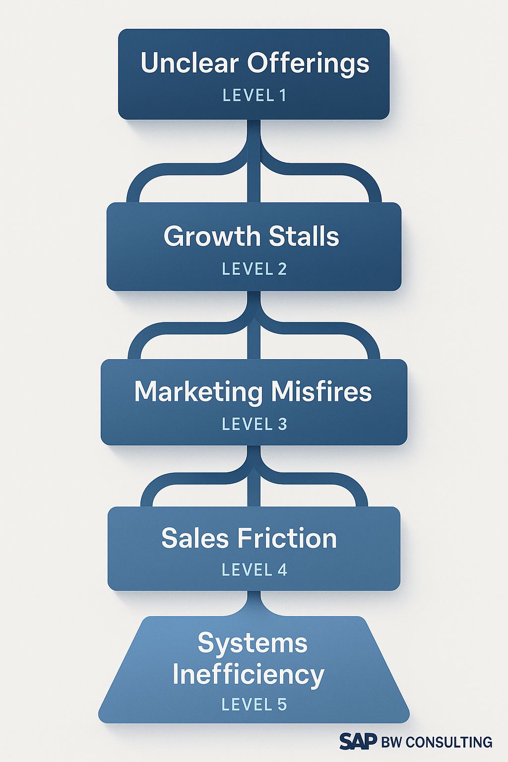 Visual infographic showing how unclear business offerings trigger a cascade—stalling growth, causing marketing misfires, sales friction, and SAP system inefficiency.