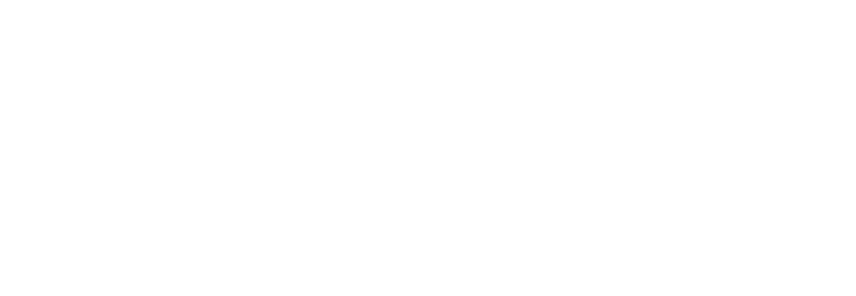 SAP BW Consulting, Inc. logo